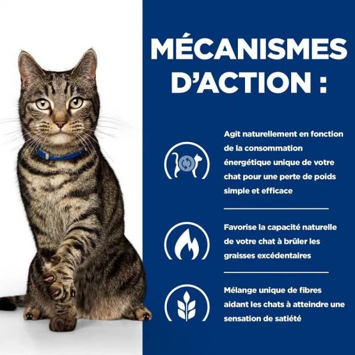 Hill's Prescription Diet Feline Metabolic 8 Kg 5 Hill's Prescription Diet Feline Metabolic 8 Kg - immagine 5
