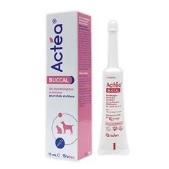 Actéa Buccal 15 Ml