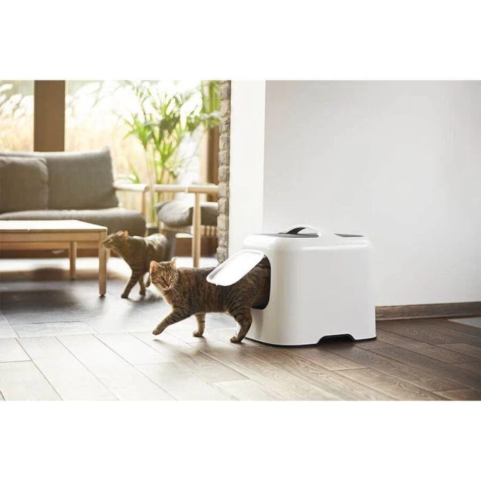 Rotho Cat Toilet Biala Antracite 3 Rotho Cat Toilet Biala Antracite - immagine 3