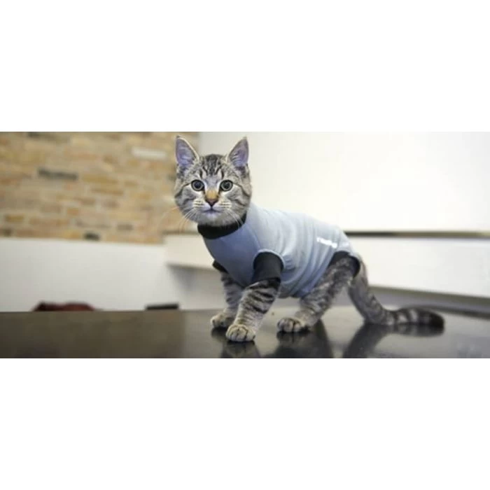 Buster Body Suit Gatto XXS 2 Buster Body Suit Gatto XXS - immagine 2