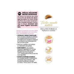 Royal Canin British Shorthair Kitten 2 Kg -Forniture Per Gatti bs kit information