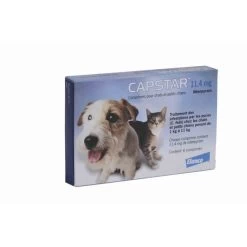 Capstar 11,4 Per Gatti E Cani Piccoli -Forniture Per Gatti capstar 11.4 mg pour chat et petit chien