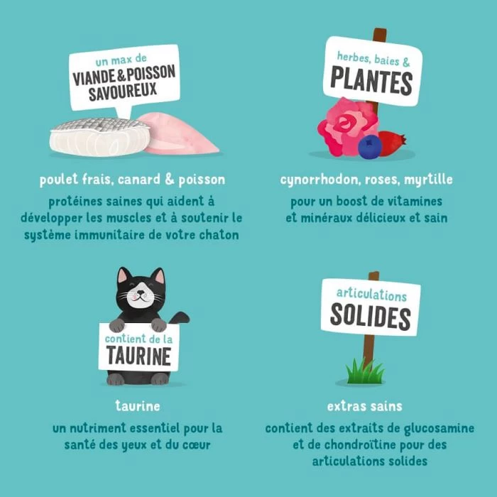 Edgard & Cooper Edgard & Cooper Favoloso Pollo & Anatra Senza Cereali Gattino 1,75 Kg 5 Edgard & Cooper Edgard & Cooper Favoloso Pollo & Anatra Senza Cereali Gattino 1,75 Kg - immagine 5