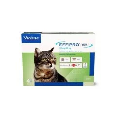 Effipro Gatto 4 Pipette