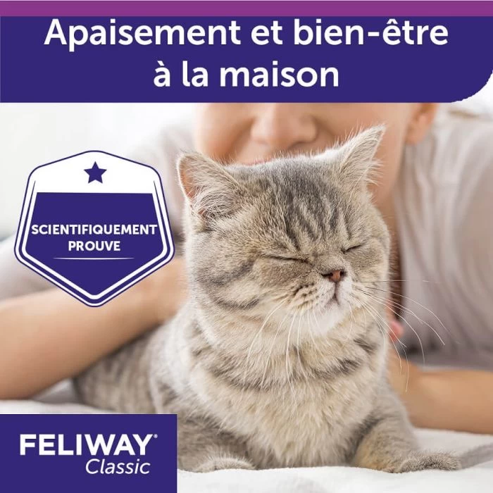 Feliway Spray 60 Ml 7 Feliway Spray 60 Ml - immagine 7