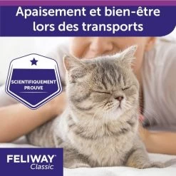 Feliway Spray Da Viaggio 20 Ml 13 Feliway Spray Da Viaggio 20 Ml -Forniture Per Gatti feliway classic spray de voyage 20 ml 4