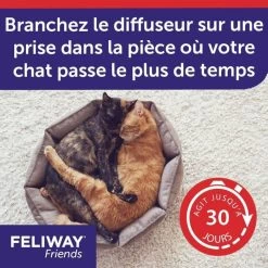 Feliway Friends Diffusore + Ricarica 48 Ml 15 Feliway Friends Diffusore + Ricarica 48 Ml -Forniture Per Gatti feliway friends diffuseur recharge 48 ml 7