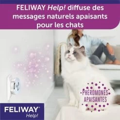 Feliway Help Pack 3 Cartucce 7 Jours -Forniture Per Gatti feliway help pack 3 cartouches 7 jours 11