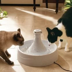 Fontana Ad Acqua Drinkwell 360° 4 Fontana Ad Acqua Drinkwell 360° -Forniture Per Gatti fontaine drinkwell 360 2 la compagnie des animaux