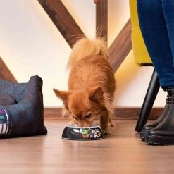 For Fan Pets Ciotola Star Wars M -Forniture Per Gatti for fan pets gamelle star wars m 3