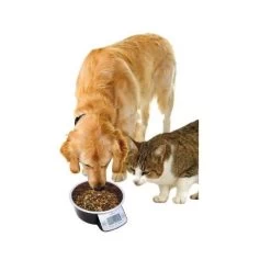 Ciotola Eyenimal Intelligent Pet Bowl Bianca -Forniture Per Gatti gamelle eyenimal intelligent pet bowl blanche 1