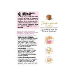 Royal Canin Maine Coon Kitten 2 Kg 10 Royal Canin Maine Coon Kitten 2 Kg -Forniture Per Gatti mc kit information 2