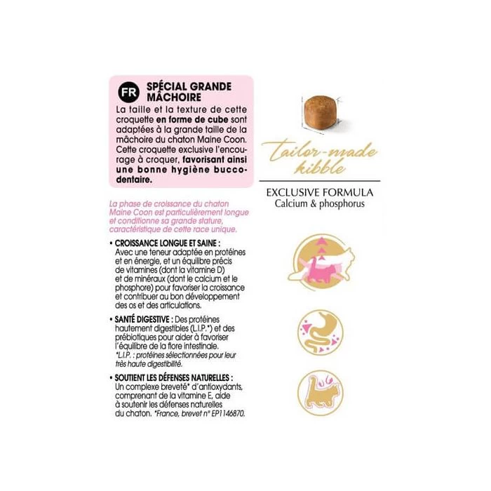 Royal Canin Maine Coon Kitten 2 Kg 5 Royal Canin Maine Coon Kitten 2 Kg - immagine 5