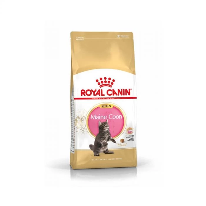 Royal Canin Maine Coon Kitten 2 Kg 1 Royal Canin Maine Coon Kitten 2 Kg