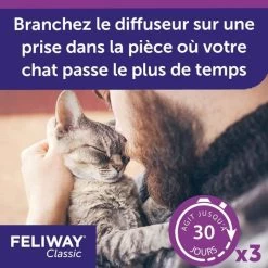 Pack Feliway Ricarica 3 X 48 Ml -Forniture Per Gatti pack feliway classic recharge 3 x 48 ml 7