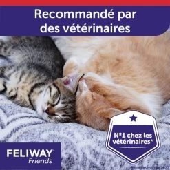 Feliway Friends Ricarica 48 Ml X3 13 Feliway Friends Ricarica 48 Ml X3 -Forniture Per Gatti pack feliway friends recharge 3 x 48 ml 5