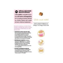 Royal Canin Persian Kitten 2 Kg -Forniture Per Gatti pers kit information