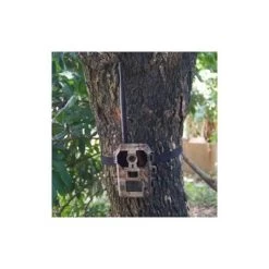 Trappola Fotografica PIE1025 -Forniture Per Gatti pie ge photographique pie1025 la compagnie des animaux 3