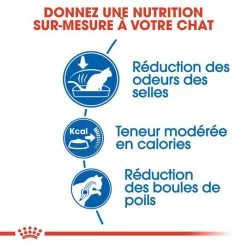 Royal Canin Feline Health Nutrition Indoor 27 - 10 Kg -Forniture Per Gatti royal canin feline health nutrition indoor 27 10 kg 3