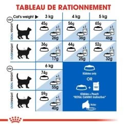 Royal Canin Feline Health Nutrition Indoor 27 - 10 Kg -Forniture Per Gatti royal canin feline health nutrition indoor 27 10 kg 6
