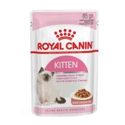 Royal Canin Kitten In Salsa 12 X 85 G