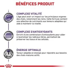 Royal Canin Vet Cat Mature Consult 12 X 85 G 10 Royal Canin Vet Cat Mature Consult 12 X 85 G -Forniture Per Gatti royal canin vet chat mature consult 12 x 85 g 3