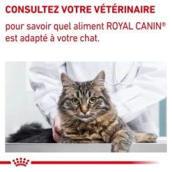 Royal Canin Vet Cat Mature Consult 12 X 85 G 15 Royal Canin Vet Cat Mature Consult 12 X 85 G -Forniture Per Gatti royal canin vet chat mature consult 12 x 85 g 8