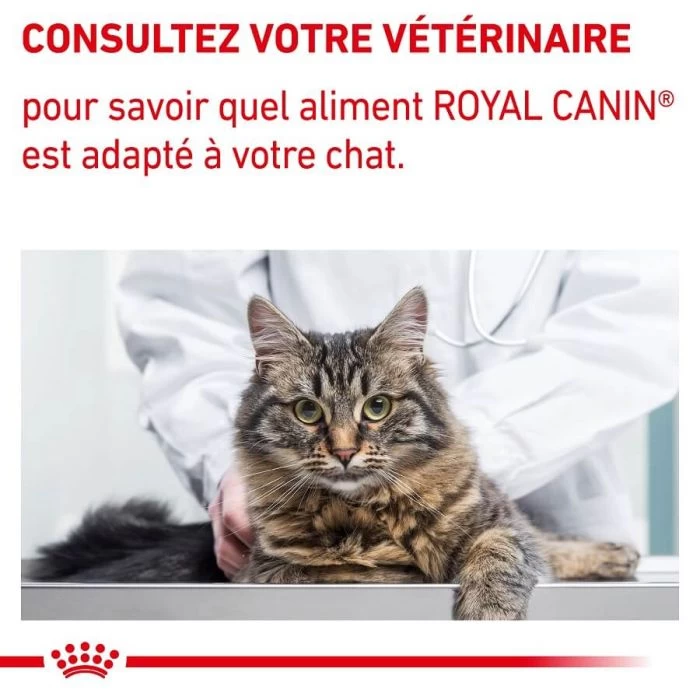Royal Canin Vet Cat Mature Consult 12 X 85 G 8 Royal Canin Vet Cat Mature Consult 12 X 85 G - immagine 8