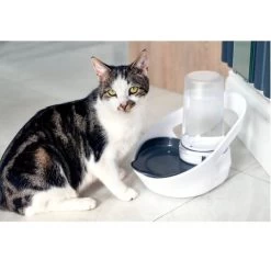 Sure Petcare Felaqua Connect Dispenser Acqua Gatto 9 Sure Petcare Felaqua Connect Dispenser Acqua Gatto -Forniture Per Gatti sure petcare felaqua connect distributeur d eau chat 3