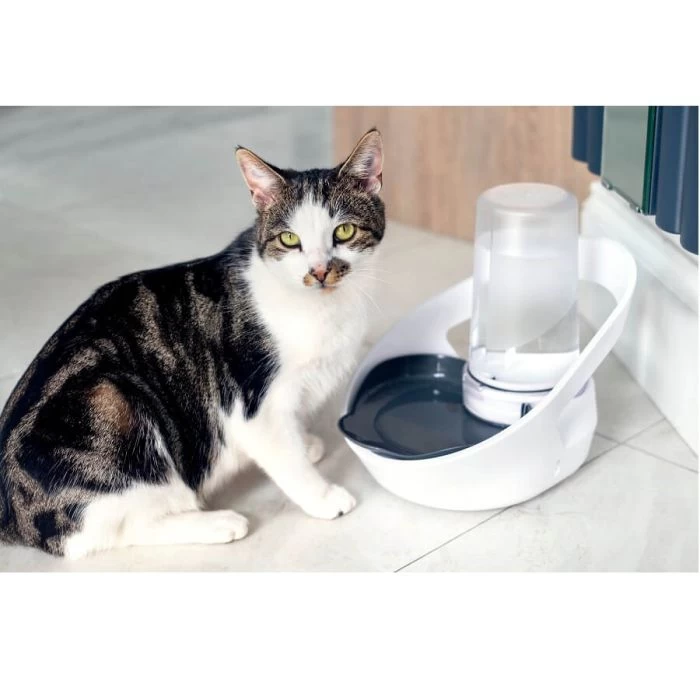 Sure Petcare Felaqua Connect Dispenser Acqua Gatto 4 Sure Petcare Felaqua Connect Dispenser Acqua Gatto - immagine 4