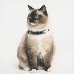 Tickless Mini Cat Bianco Ricaricabile -Forniture Per Gatti tickless mini cat blanc rechargeable3