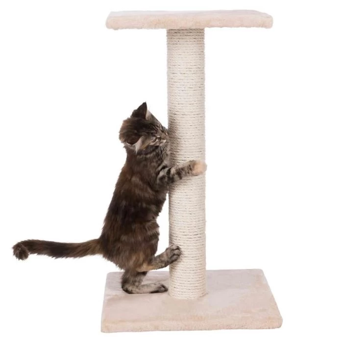 Trixie Tiragraffi Espejo Grigio 69 Cm 2 Trixie Tiragraffi Espejo Grigio 69 Cm - immagine 2